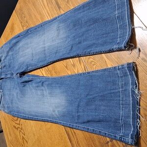 CITIZEN OF HUMANITY Jeans Womens 32 BLUE BootCut ? GINGER Flared ?  Preowned